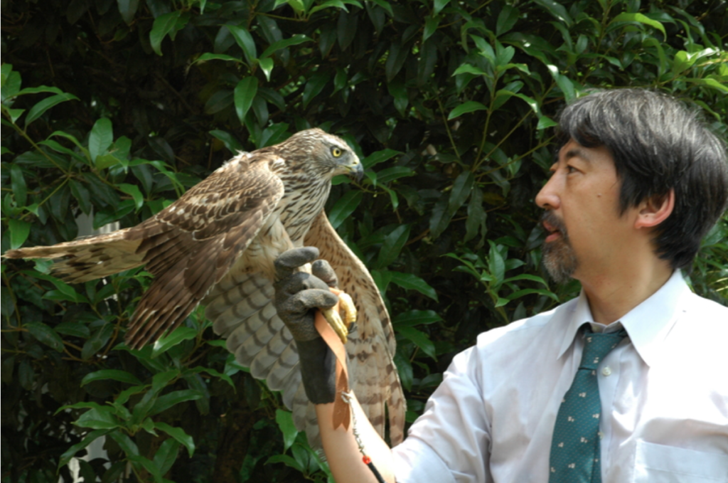 故 佐草一優先生と保護されてきたオオタカ