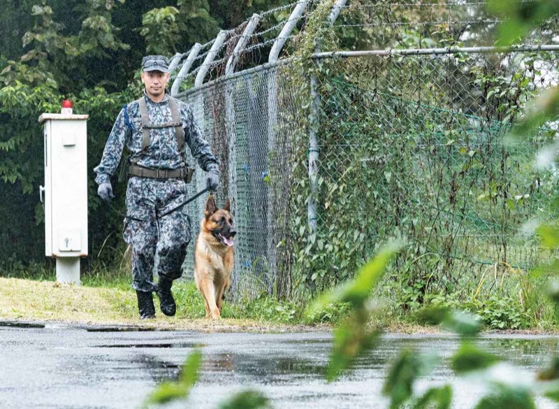 警備犬(自衛隊)公式サイトより